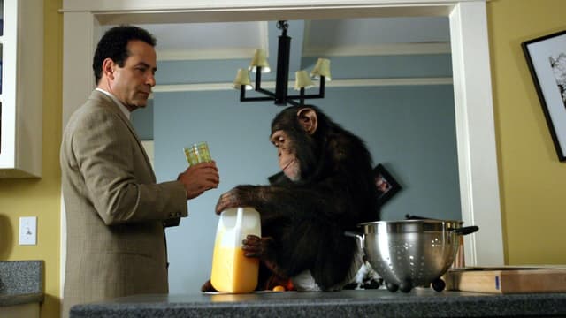 Monk et le chimpanzé