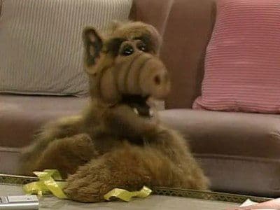 La nuit, tous les Alf sont gris
