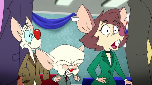 Épisode 24