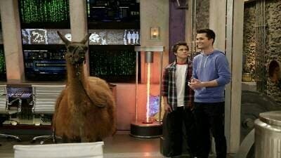 Épisode 19