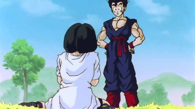 Gohan le professeur ! Videl apprend à voler.