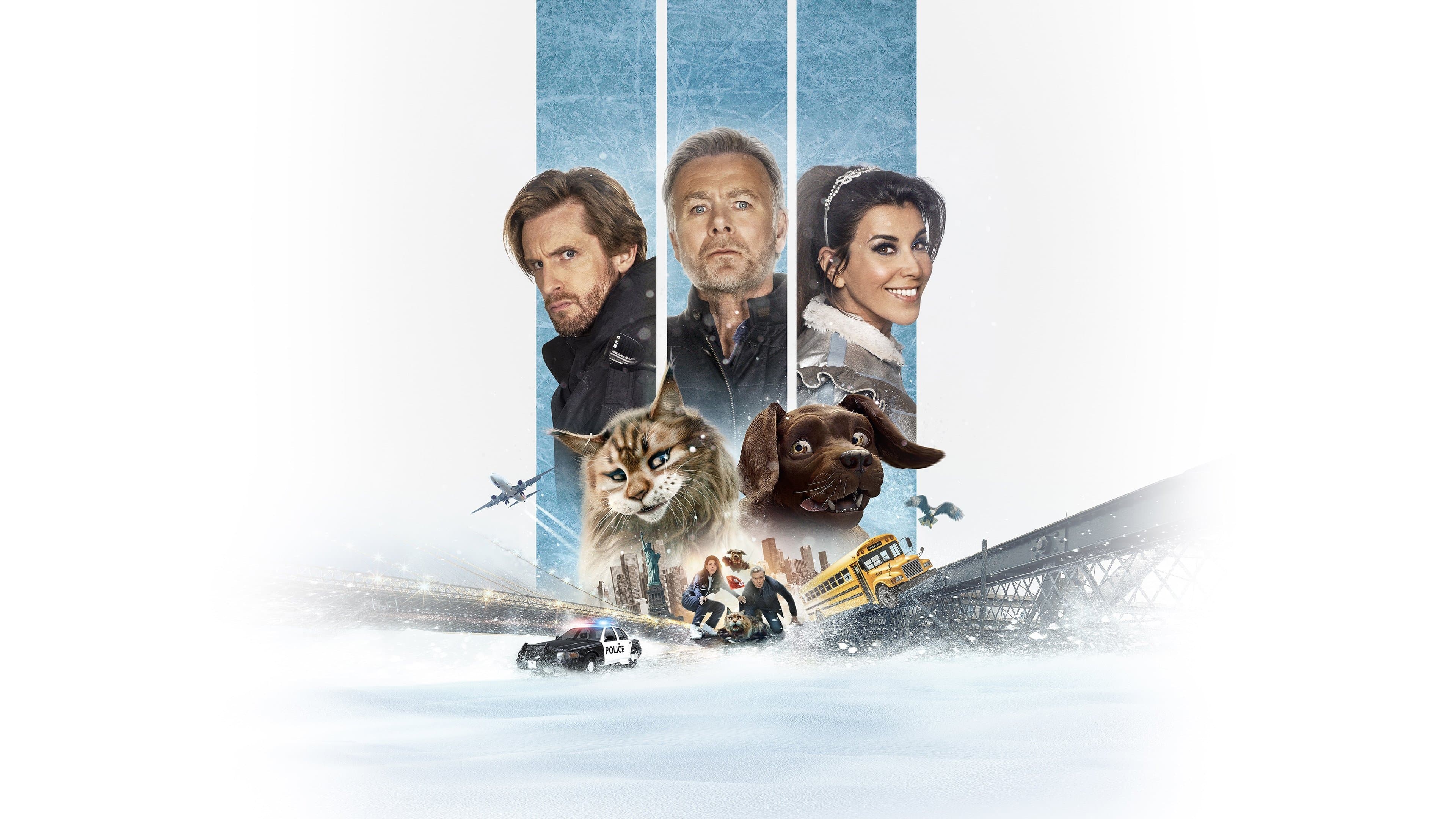 Chien et Chat Coflix