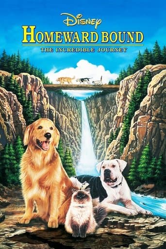 L'Incroyable Voyage Coflix
