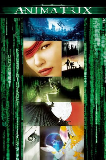 Animatrix Coflix