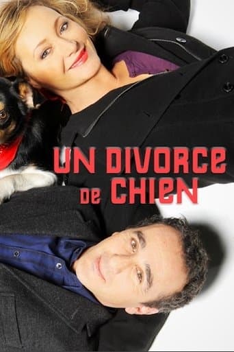Un divorce de chien Coflix