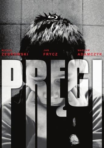 Pręgi Coflix