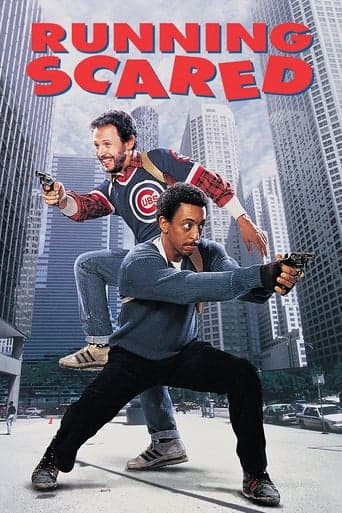 Deux flics à Chicago Coflix