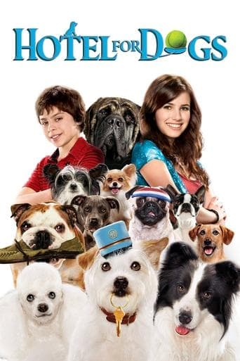 Palace pour chiens Coflix