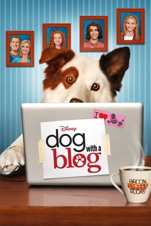 #doggyblog Coflix • Streaming