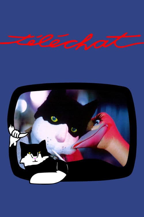 Téléchat Coflix • Streaming
