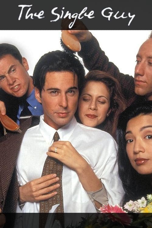 The Single Guy Coflix • Streaming