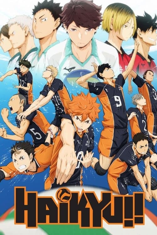 Haikyu!! Coflix • Streaming