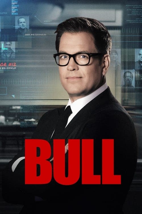 Bull Coflix • Streaming