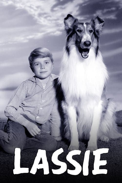 Lassie Coflix • Streaming